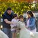 A family of 4 feeding a horned sheep